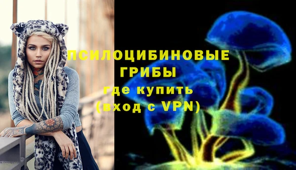 spice Уссурийск