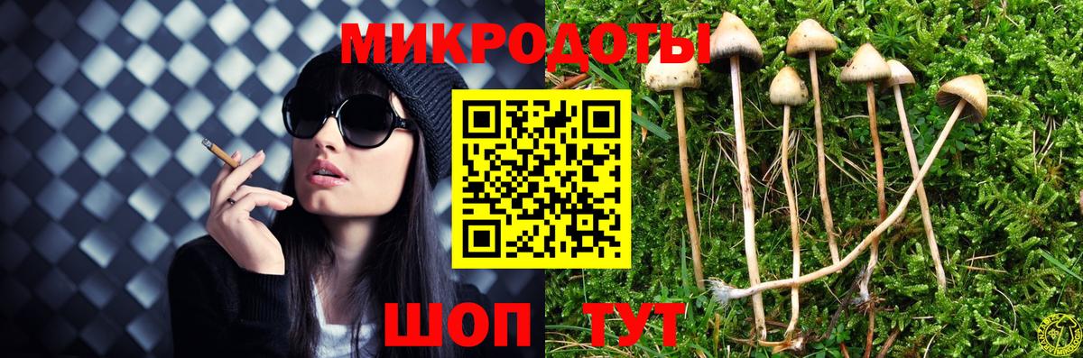 Североуральск  Галлюциногенные грибы прущие грибы  Псилоцибиновые грибы мухоморы  Вход с VPN 
