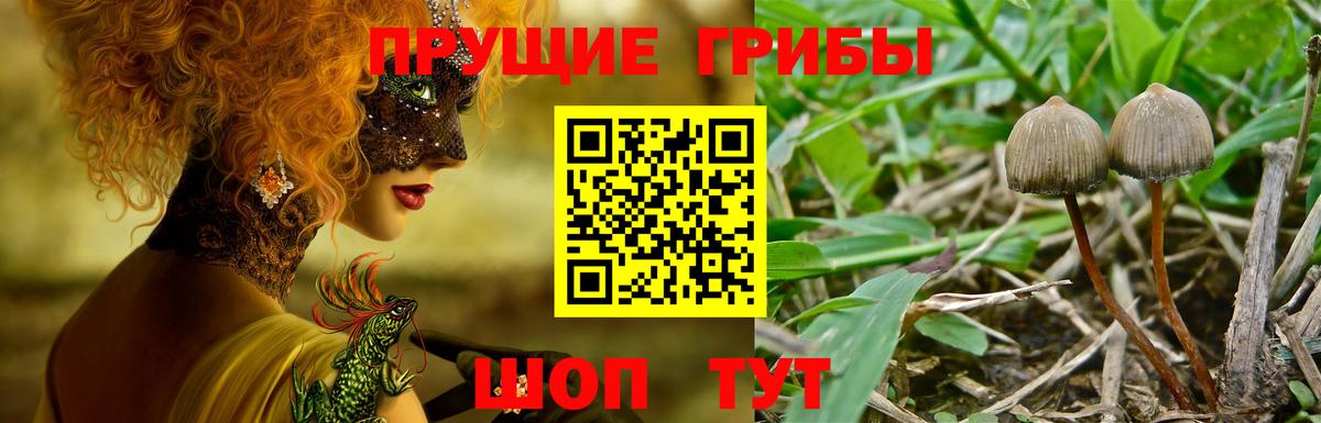 Галлюциногенные грибы MAGIC MUSHROOMS Североуральск